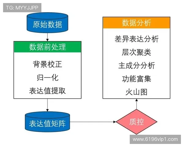 db体育：如何利用数据分析提升运动成绩